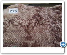 collection 10 Stampe fantasia 276
